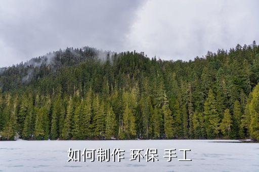 如何制作 環保 手工