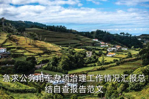 公務用車自查報告，公務用車網上辦公系統中查無此車是什么原因