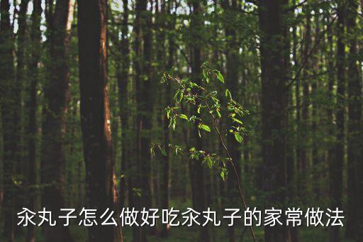 汆丸子怎么做好吃汆丸子的家常做法