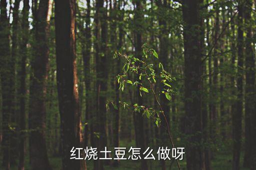 紅燒土豆片，紅燒土豆片怎么做的