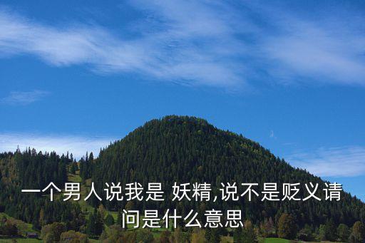 我是妖精,精雕細刻的東西看起來朦朧妖嬈但卻無害