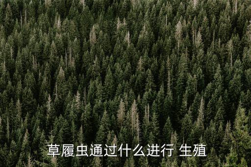  草履蟲通過什么進(jìn)行 生殖