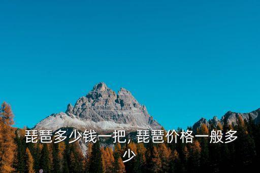  琵琶多少錢一把, 琵琶價格一般多少