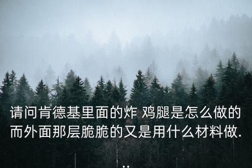 脆皮炸雞腿,秘制炸雞腿秘訣!