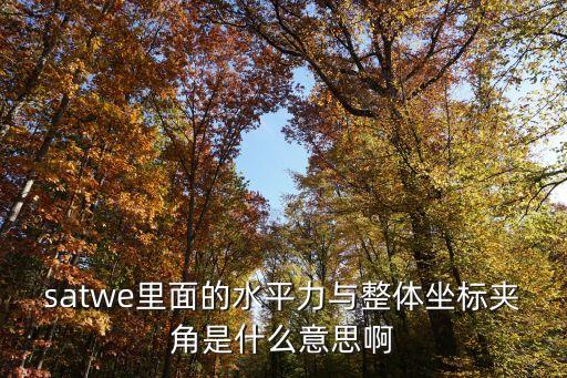 satwe里面的水平力與整體坐標夾角是什么意思啊