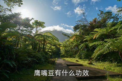 鷹嘴豆熱量,豆中之王鷹嘴豆?fàn)I養(yǎng)豐富熱量低有益健康