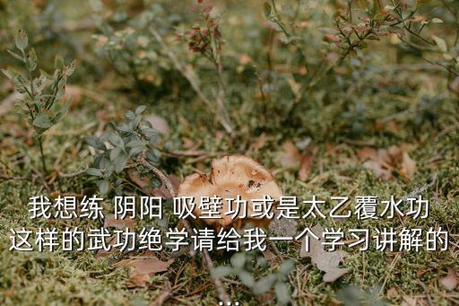 陰陽吸壁功,武漢中醫院推出十套武功秘訣
