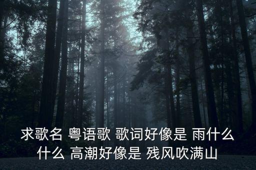 天空之城在哭泣，有一首民謠歌詞有一句是 獻給你的西班牙獻禮這是哪首歌呀  搜