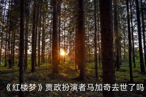 《紅樓夢(mèng)》賈政扮演者馬加奇去世了嗎