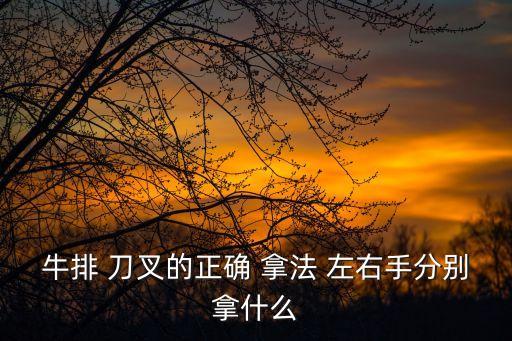 刀叉的正確拿法左右手,如何正確使用和操作電子刀?