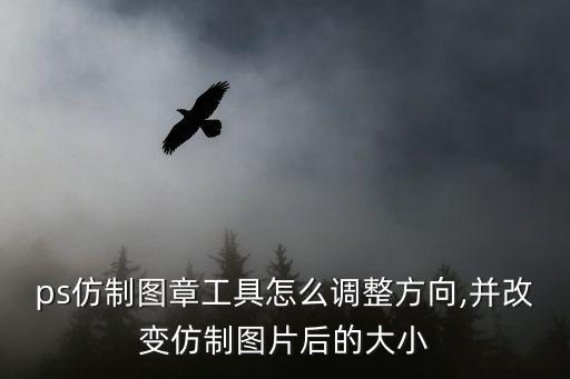ps仿制圖章工具怎么調(diào)整方向,并改變仿制圖片后的大小