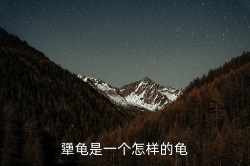 犟龜，犟龜的主要內容
