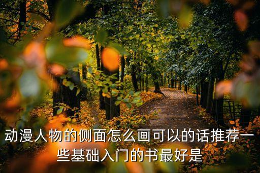 動漫人物的側面怎么畫可以的話推薦一些基礎入門的書最好是