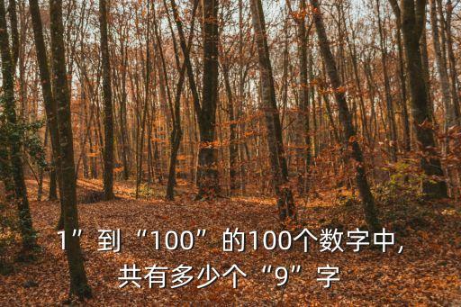 1”到“100”的100個數字中,共有多少個“9”字