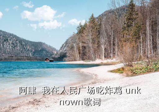 阿肆  我在人民廣場吃炸雞 unknown歌詞