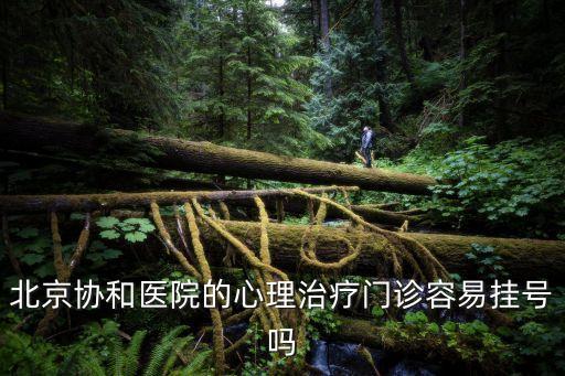 魏鏡，北京協和醫院的心理治療門診容易掛號嗎