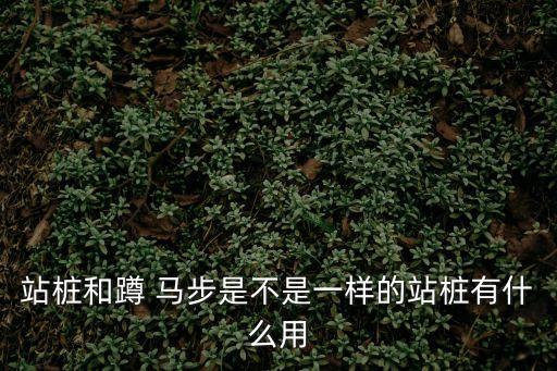 站樁和蹲 馬步是不是一樣的站樁有什么用