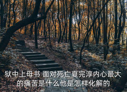 獄中上母書(shū) 面對(duì)死亡夏完淳內(nèi)心最大的痛苦是什么他是怎樣化解的