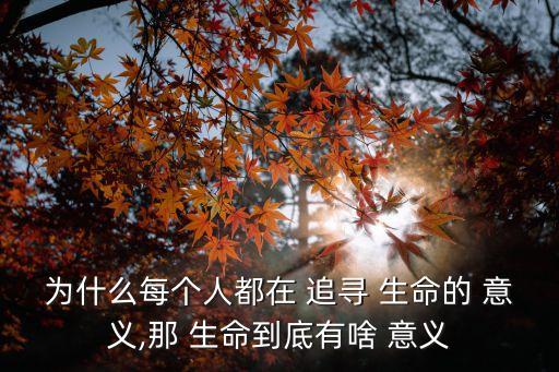 追尋生命的意義,生命的價(jià)值首先在于追求