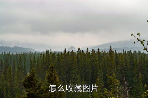 怎么收藏圖片