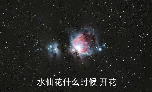 水仙什么時(shí)候開花,水仙花最早在春節(jié)后一個(gè)月開花開花