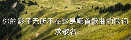 你的影子無所不在這是哪首歌曲的歌詞求歌名
