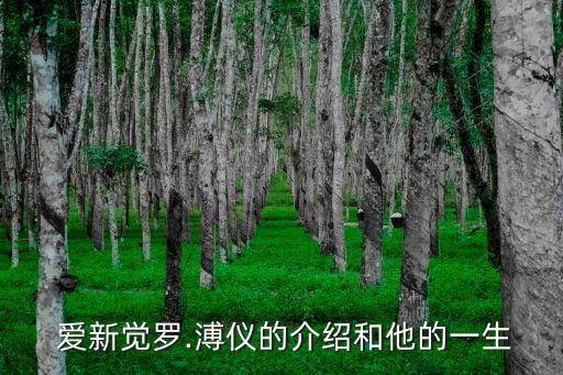  愛新覺羅.溥儀的介紹和他的一生