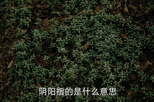 陰陽臉是什么意思,中國古代哲學提出陰陽概念