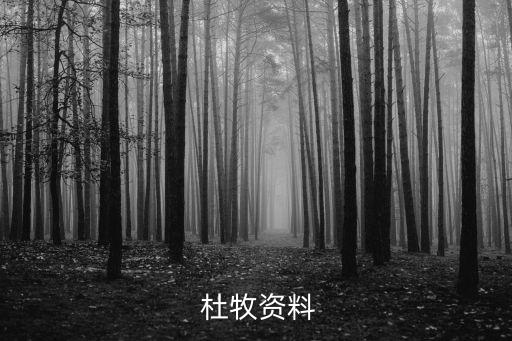  杜牧資料