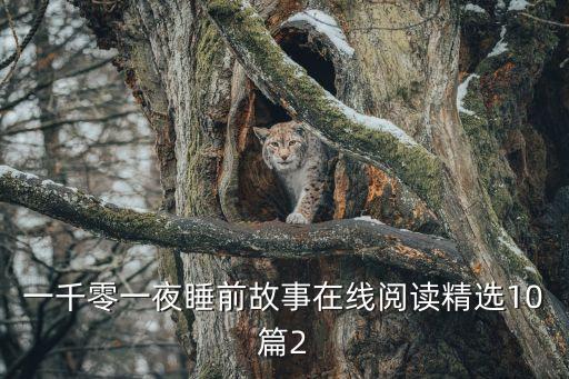 一千零一夜睡前故事在線閱讀精選10篇2