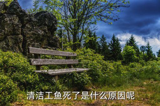 清潔工魚,三大清潔工魚之一黑瑪麗魚來了!