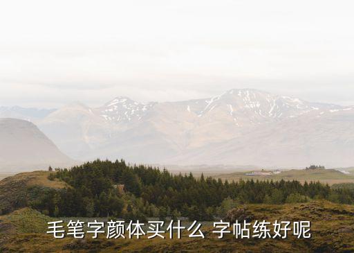毛筆字字帖,初學毛筆字最好從楷書字帖或碑文開始學習