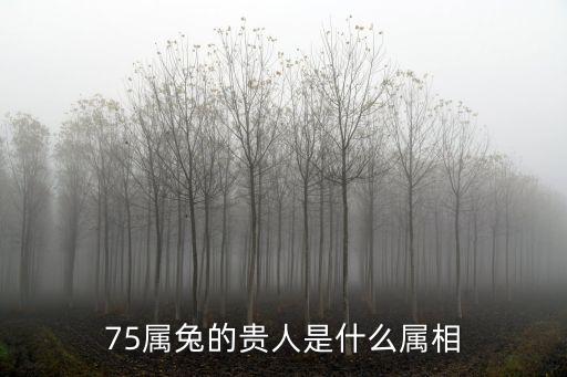 75屬兔的貴人是什么屬相