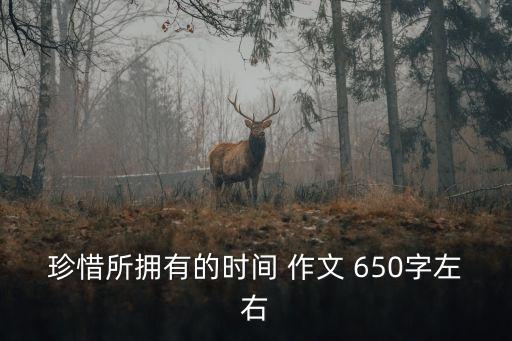 珍惜所擁有的時間 作文 650字左右