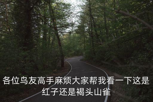各位鳥友高手麻煩大家幫我看一下這是紅子還是褐頭山雀