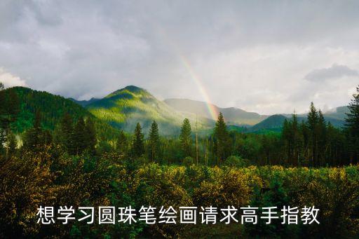 想學習圓珠筆繪畫請求高手指教