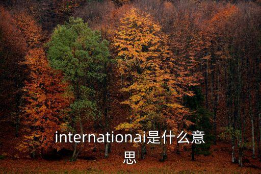 international是什么意思