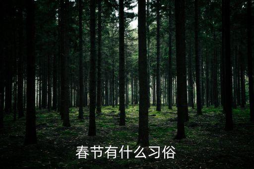 春節的，春節的特點是什么