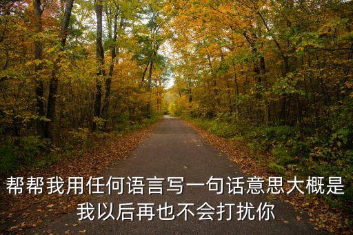 幫幫我用任何語言寫一句話意思大概是我以后再也不會打擾你