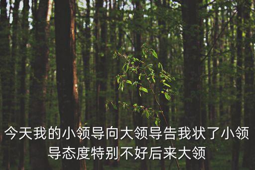 今天我的小領導向大領導告我狀了小領導態度特別不好后來大領