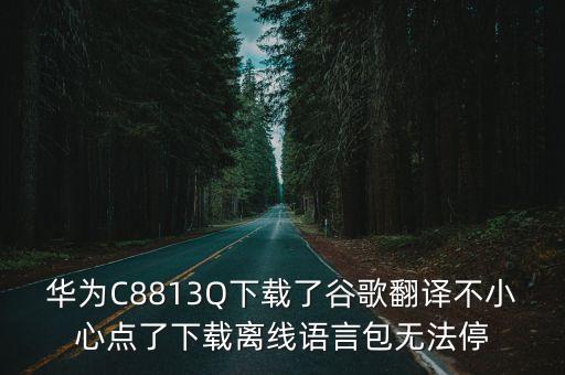 華為C8813Q下載了谷歌翻譯不小心點了下載離線語言包無法停
