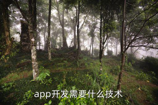 軟件開(kāi)發(fā)技術(shù)，軟件開(kāi)發(fā)需要掌握那些技術(shù)