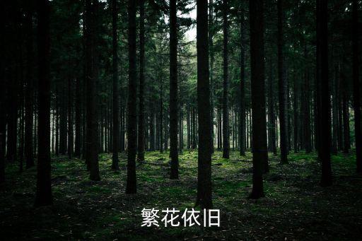 繁花依舊，繁花依舊