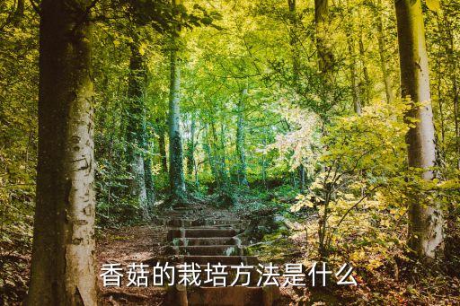 香菇種植技術，香菇怎么種