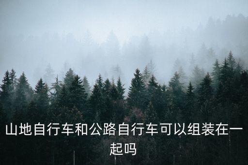 山地自行車和公路自行車可以組裝在一起嗎