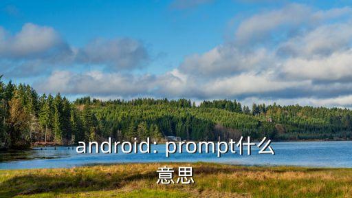 prompt是什么意思