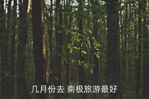 南極旅行,旅行團隊推出南極旅行線路