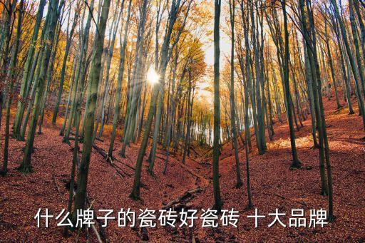 什么牌子的瓷磚好瓷磚 十大品牌