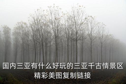 國內三亞有什么好玩的三亞千古情景區精彩美圖復制鏈接