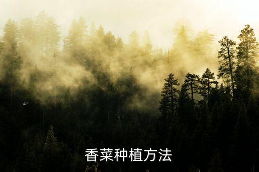 香菜種植方法
